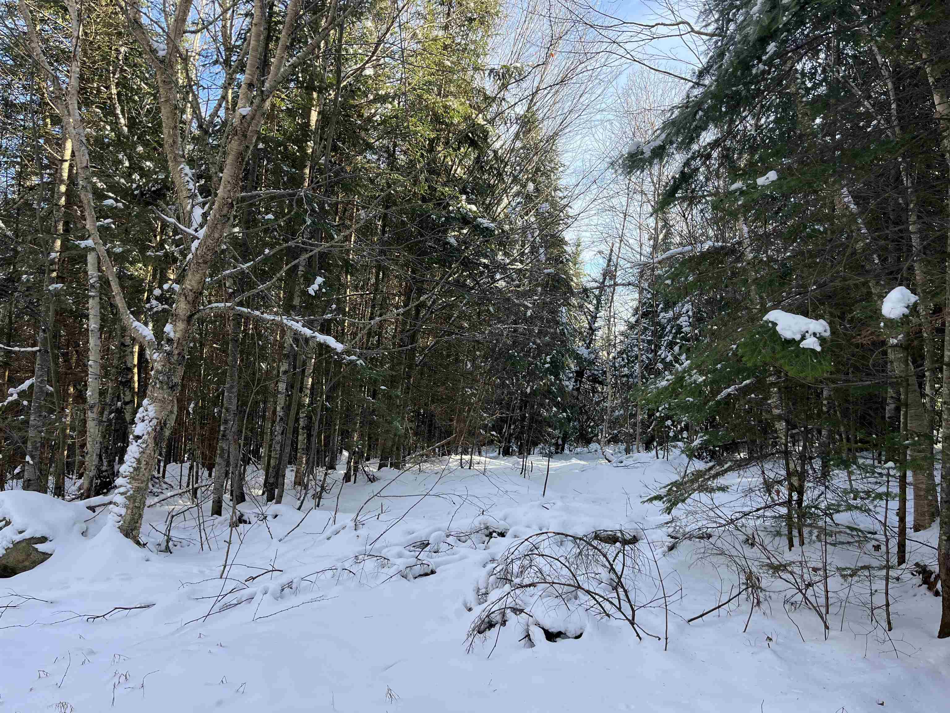 0 Shadow Lake Road Glover, VT 05839 - Photo 3 of 45
