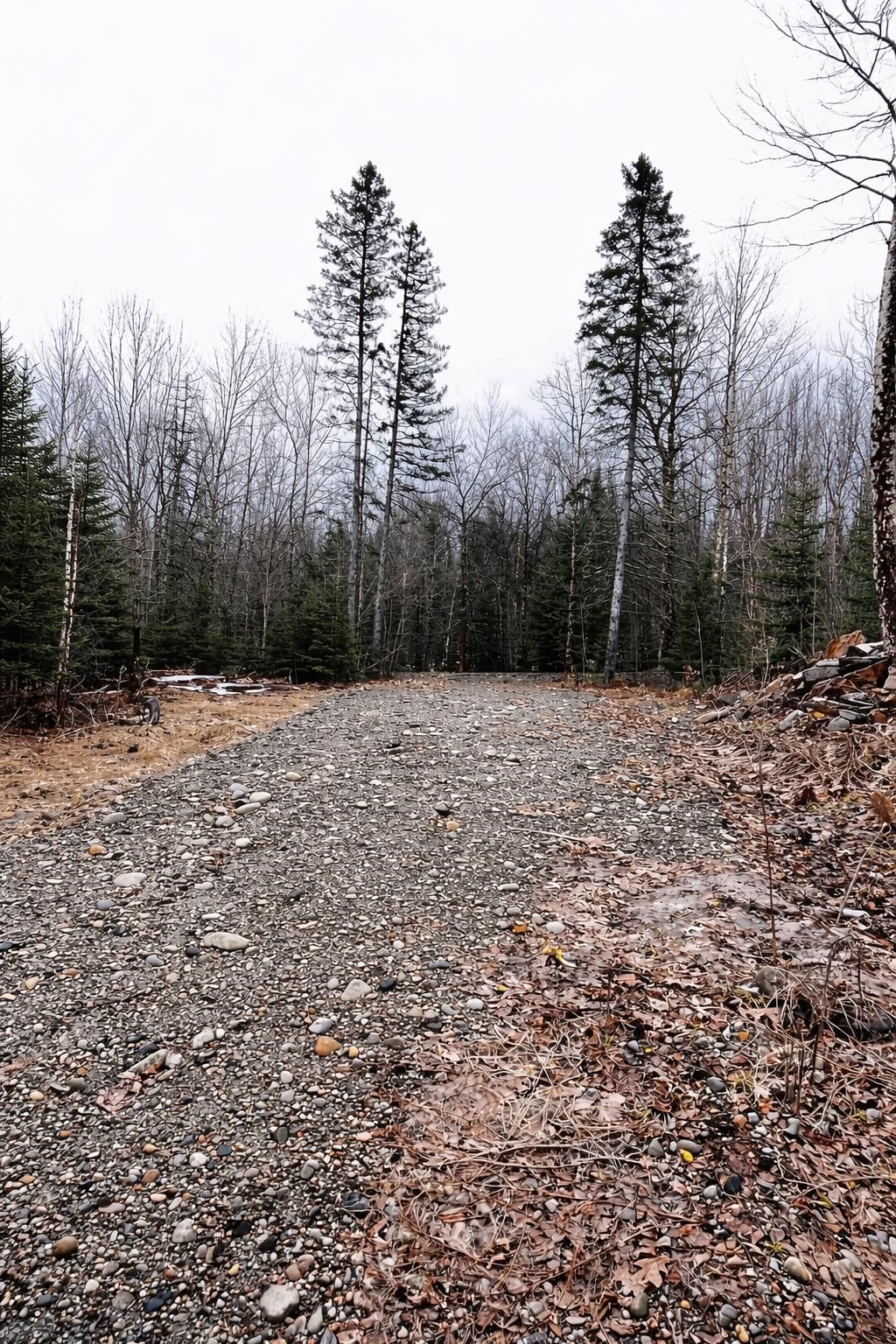 0 Shadow Lake Road Glover, VT 05839 - Photo 31 of 45