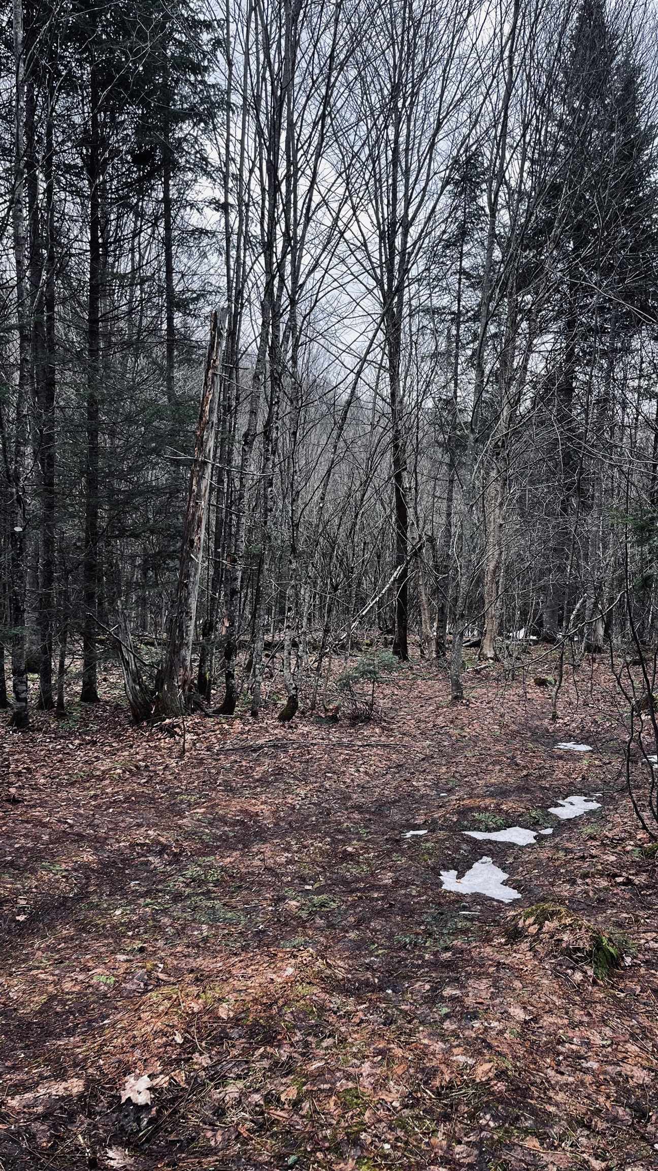 0 Shadow Lake Road Glover, VT 05839 - Photo 32 of 45