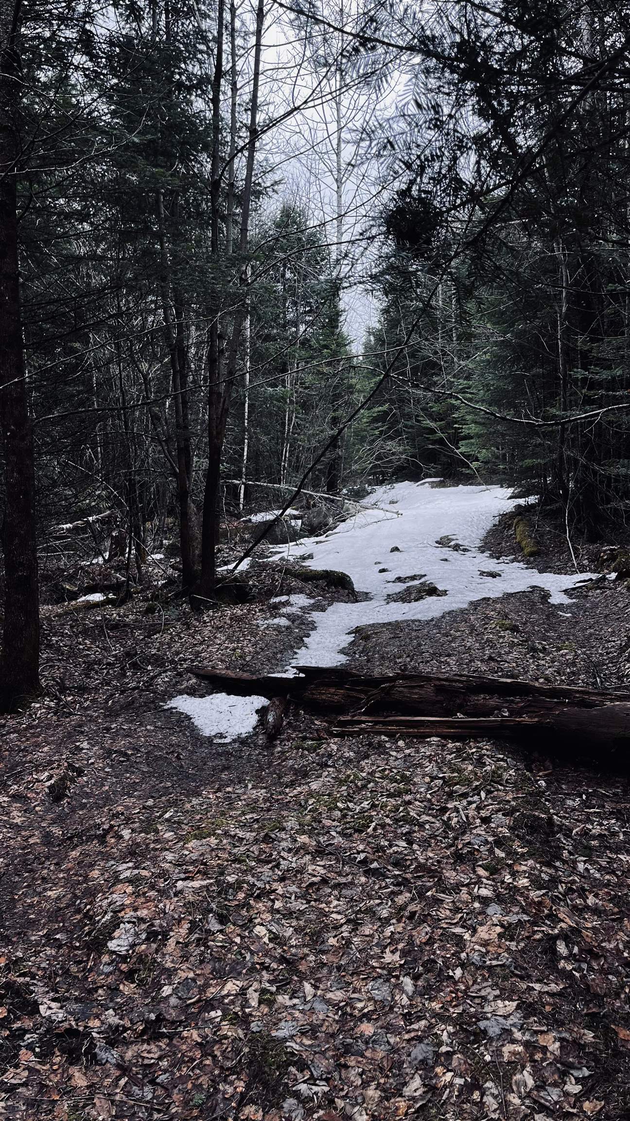 0 Shadow Lake Road Glover, VT 05839 - Photo 34 of 45