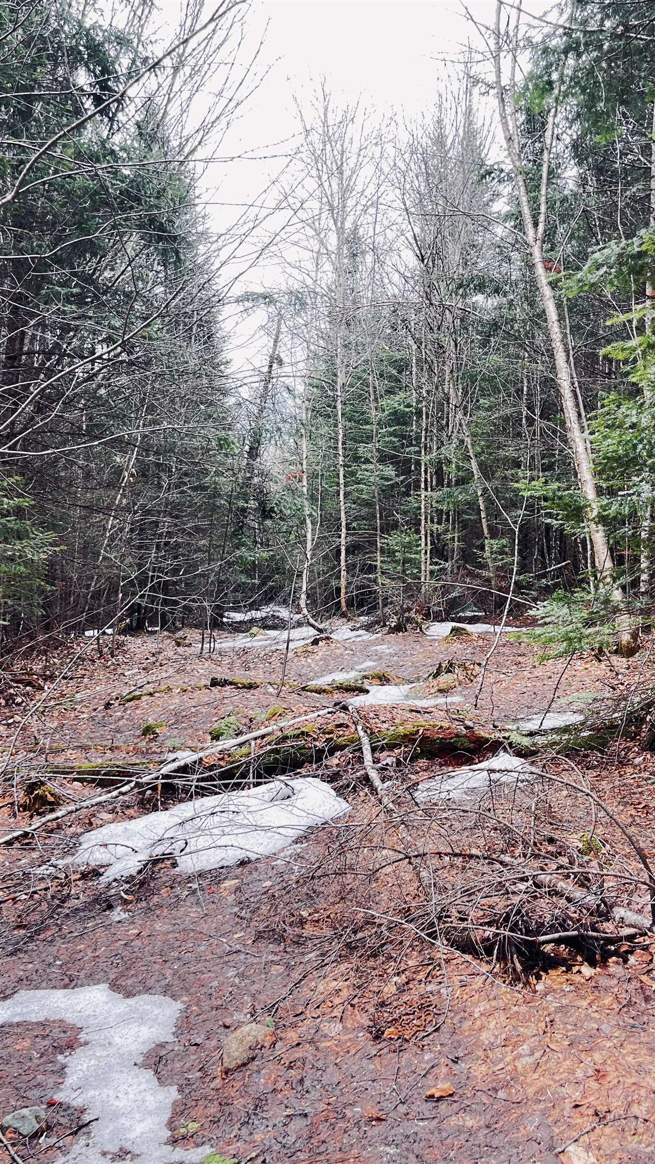 0 Shadow Lake Road Glover, VT 05839 - Photo 35 of 45