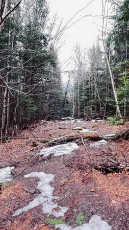 $130,000 | 0 Shadow Lake Road, Glover, VT 05839