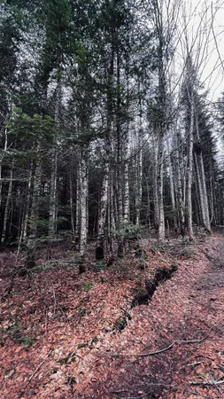 $130,000 | 0 Shadow Lake Road, Glover, VT 05839