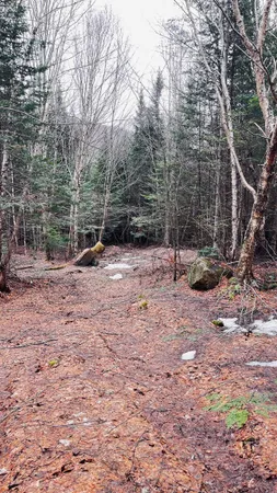 $130,000 | 0 Shadow Lake Road, Glover, VT 05839