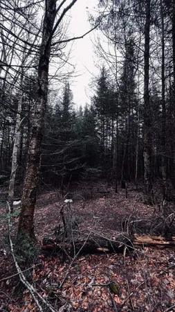 $130,000 | 0 Shadow Lake Road, Glover, VT 05839