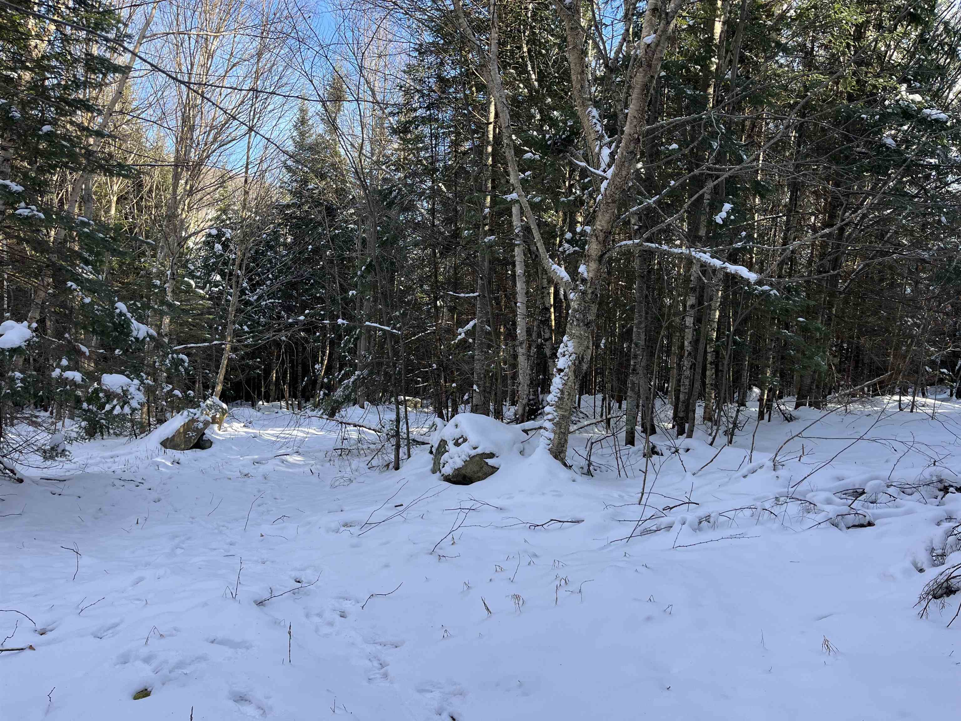 0 Shadow Lake Road Glover, VT 05839 - Photo 4 of 10