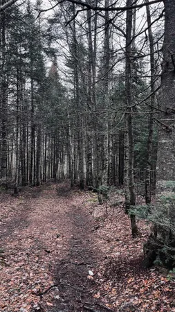 $130,000 | 0 Shadow Lake Road, Glover, VT 05839