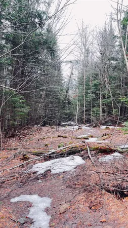 $130,000 | 0 Shadow Lake Road, Glover, VT 05839