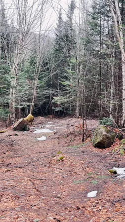 $130,000 | 0 Shadow Lake Road, Glover, VT 05839