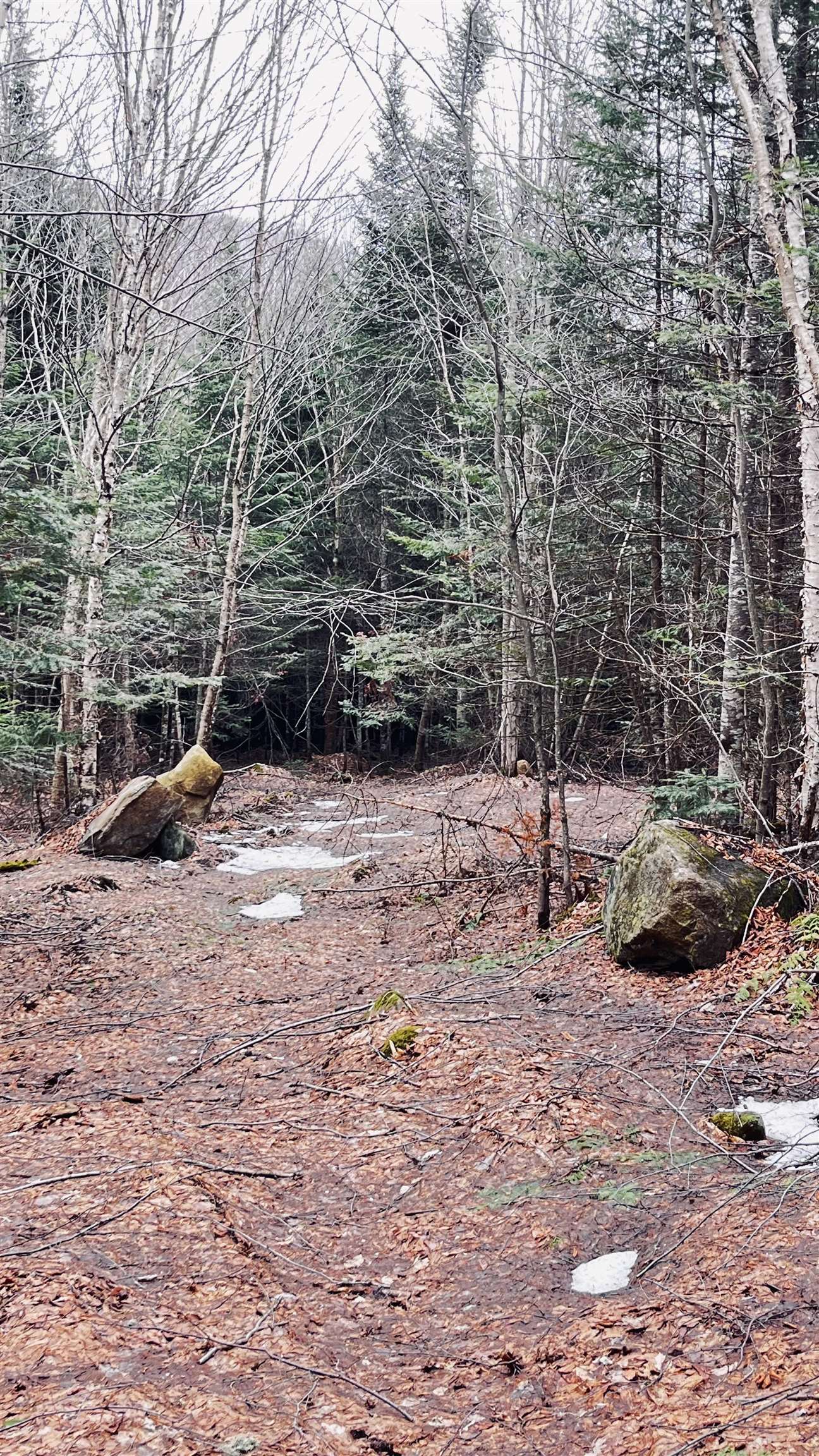 0 Shadow Lake Road Glover, VT 05839 - Photo 43 of 45