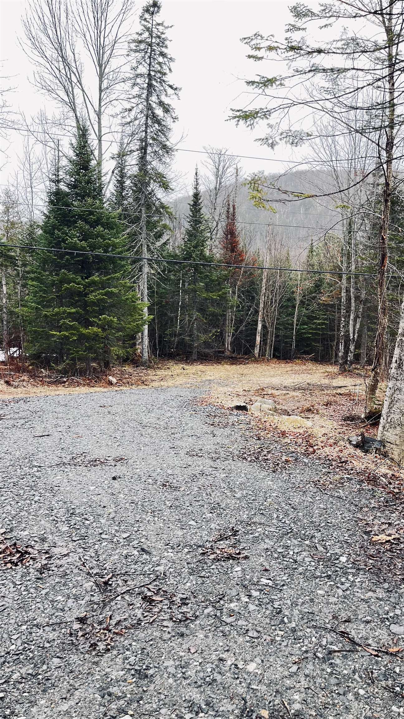 0 Shadow Lake Road Glover, VT 05839 - Photo 44 of 45