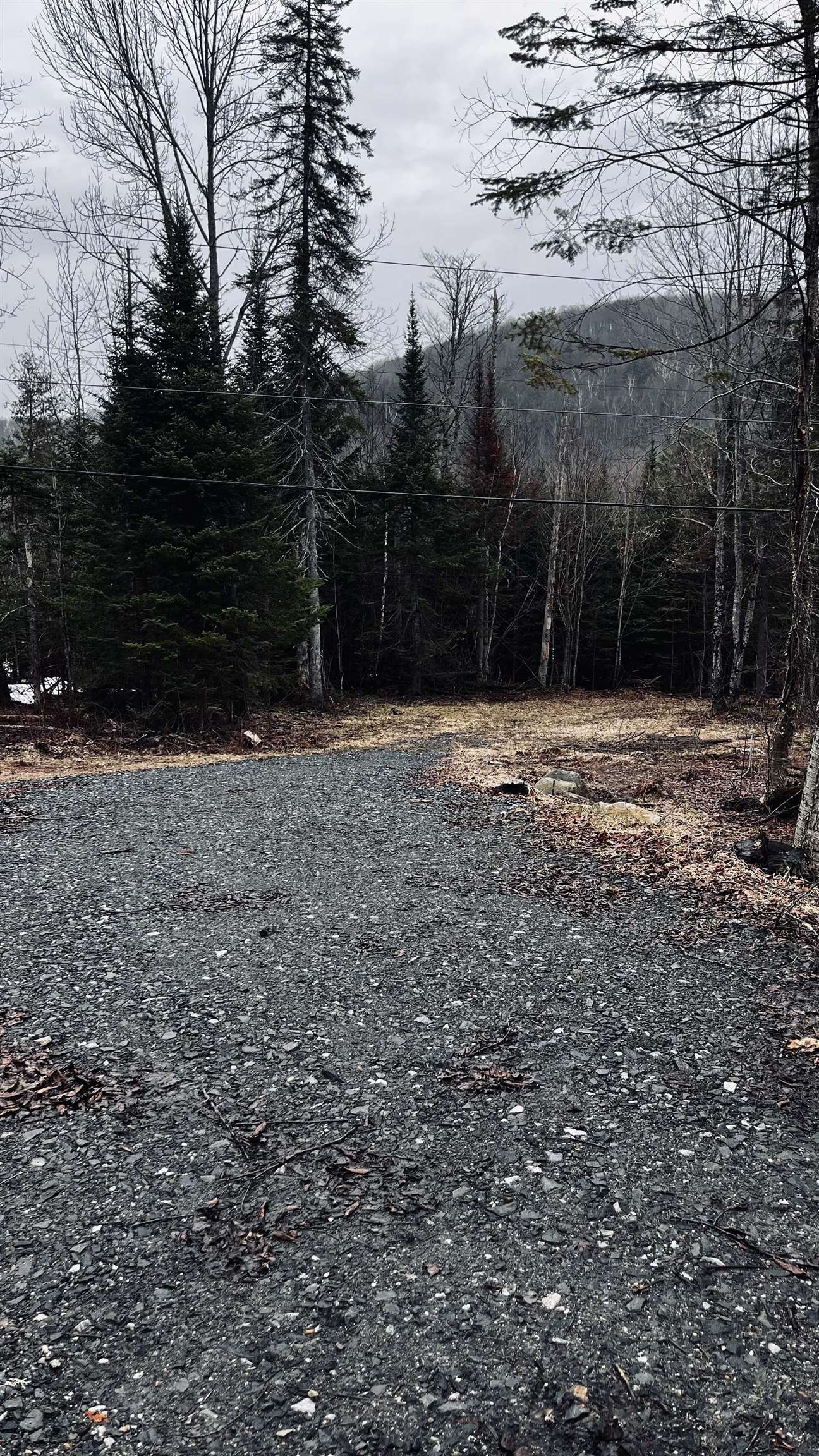 0 Shadow Lake Road Glover, VT 05839 - Photo 45 of 45