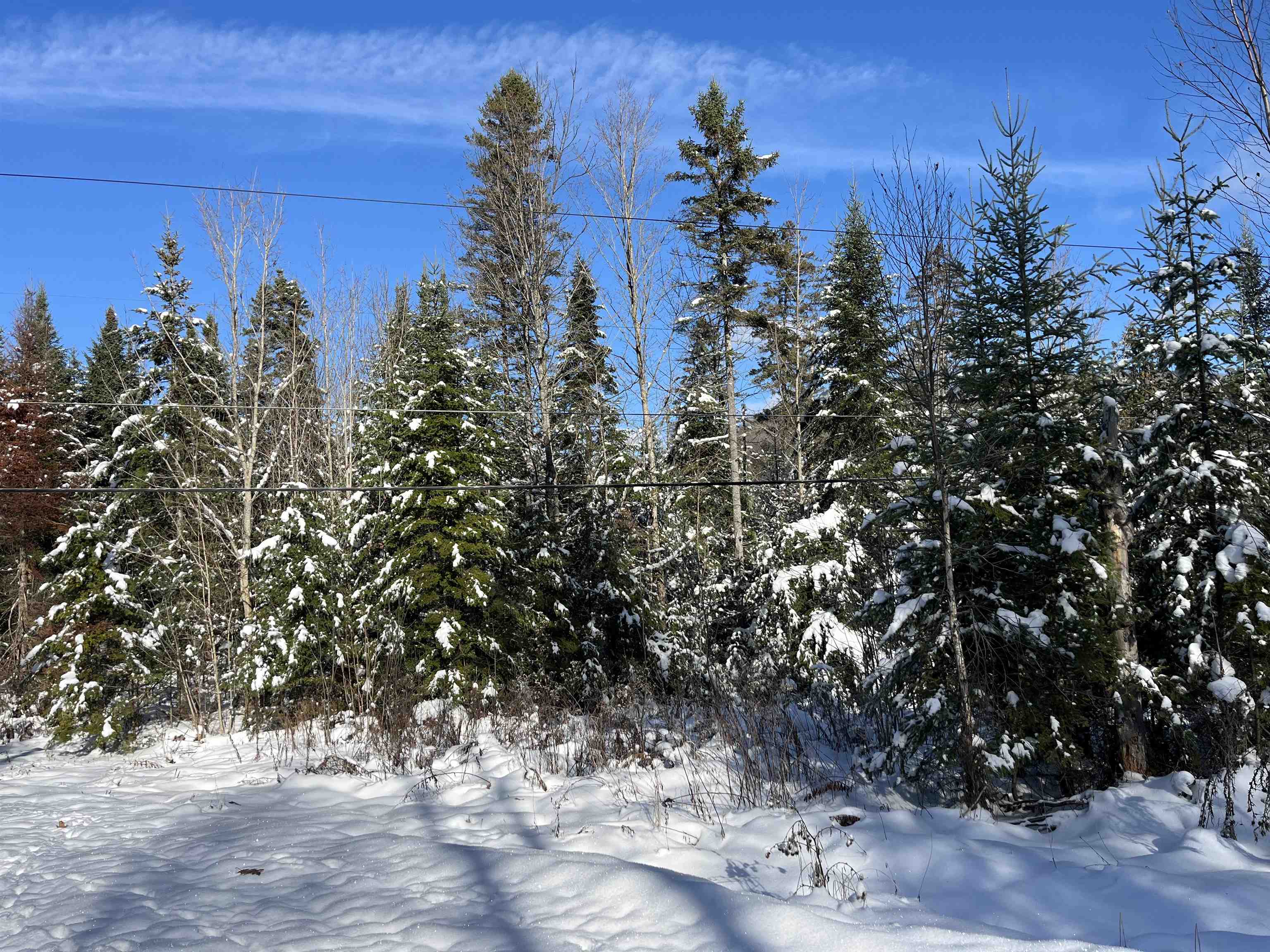 0 Shadow Lake Road Glover, VT 05839 - Photo 5 of 10