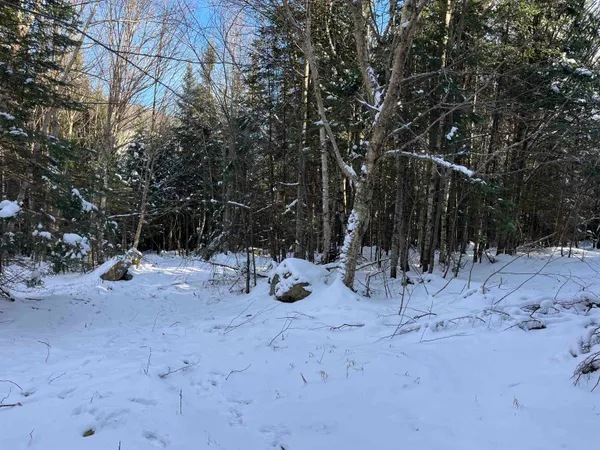 $130,000 | 0 Shadow Lake Road, Glover, VT 05839