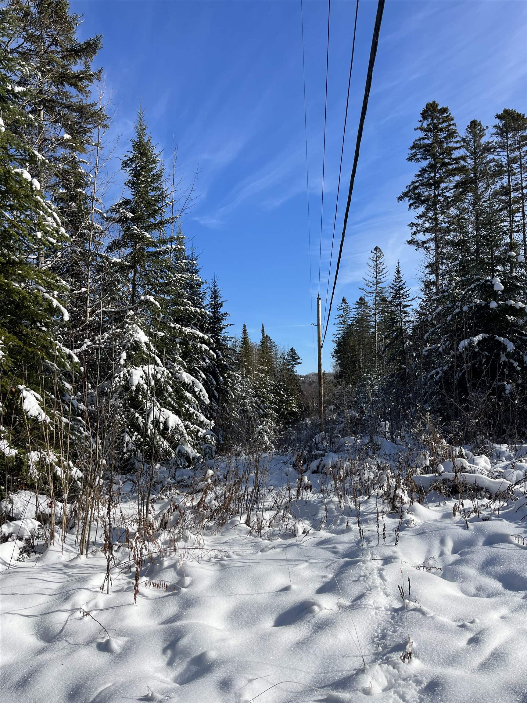 0 Shadow Lake Road Glover, VT 05839 - Photo 6 of 10