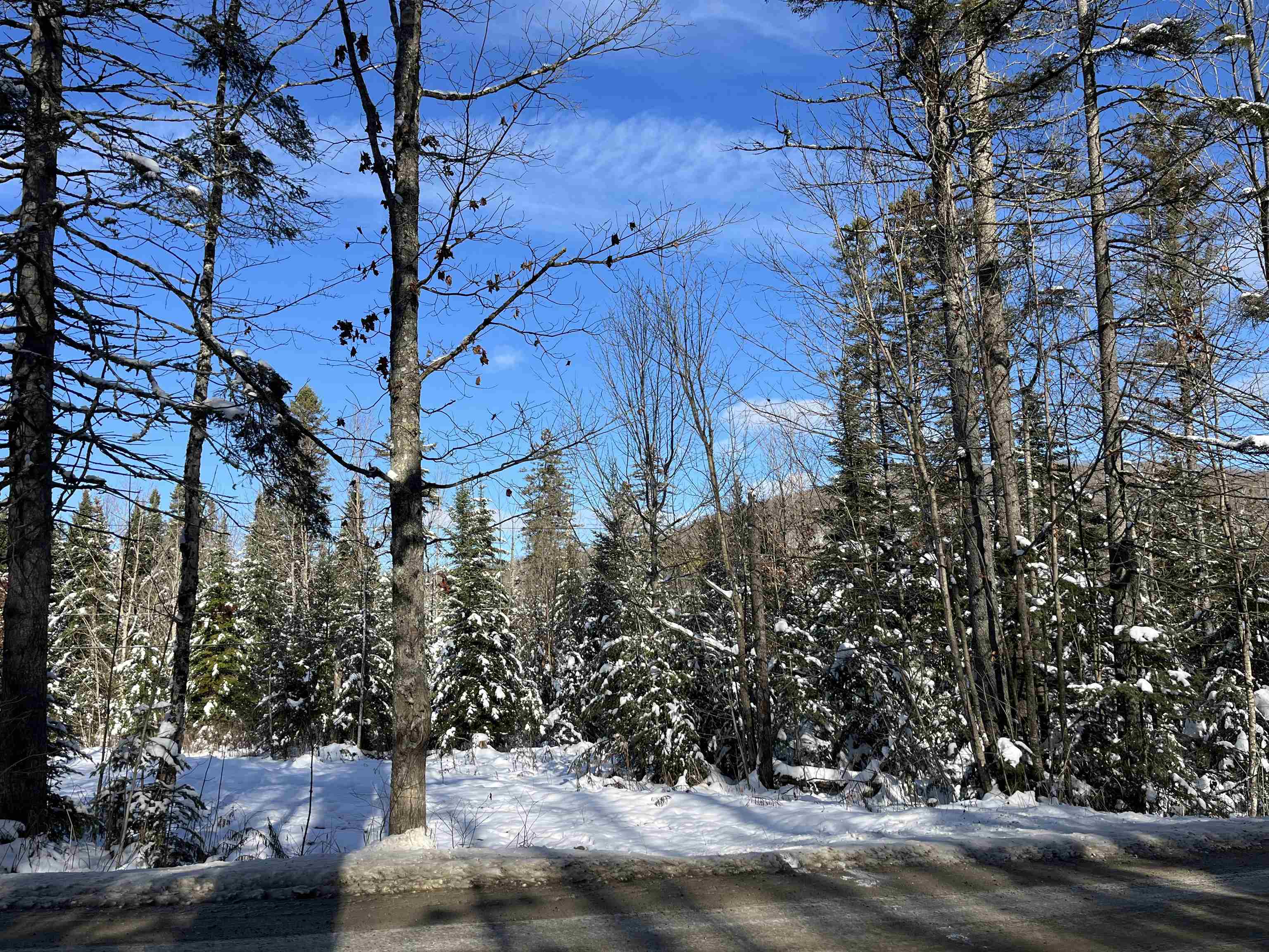 0 Shadow Lake Road Glover, VT 05839 - Photo 8 of 10