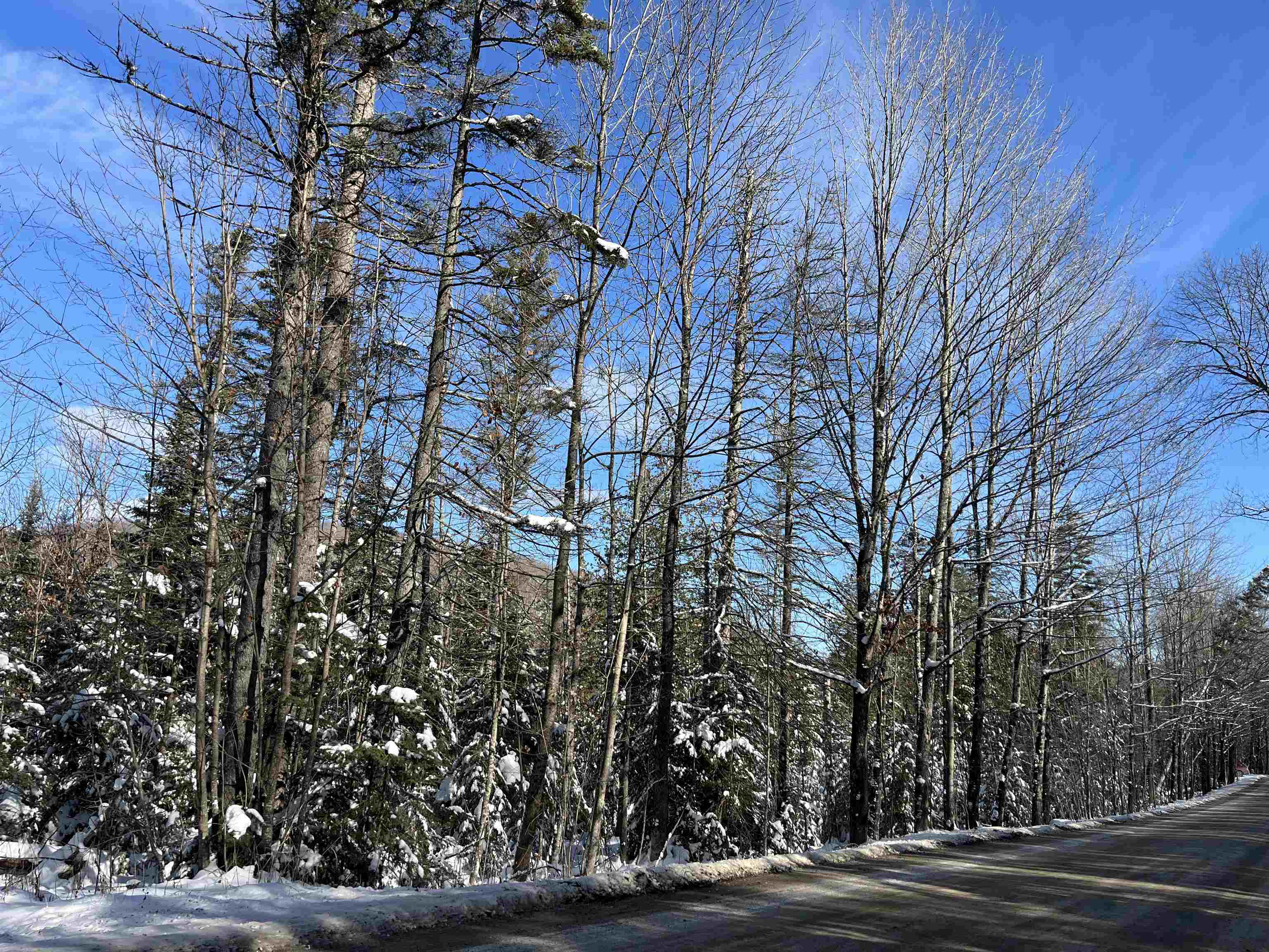 0 Shadow Lake Road Glover, VT 05839 - Photo 8 of 45