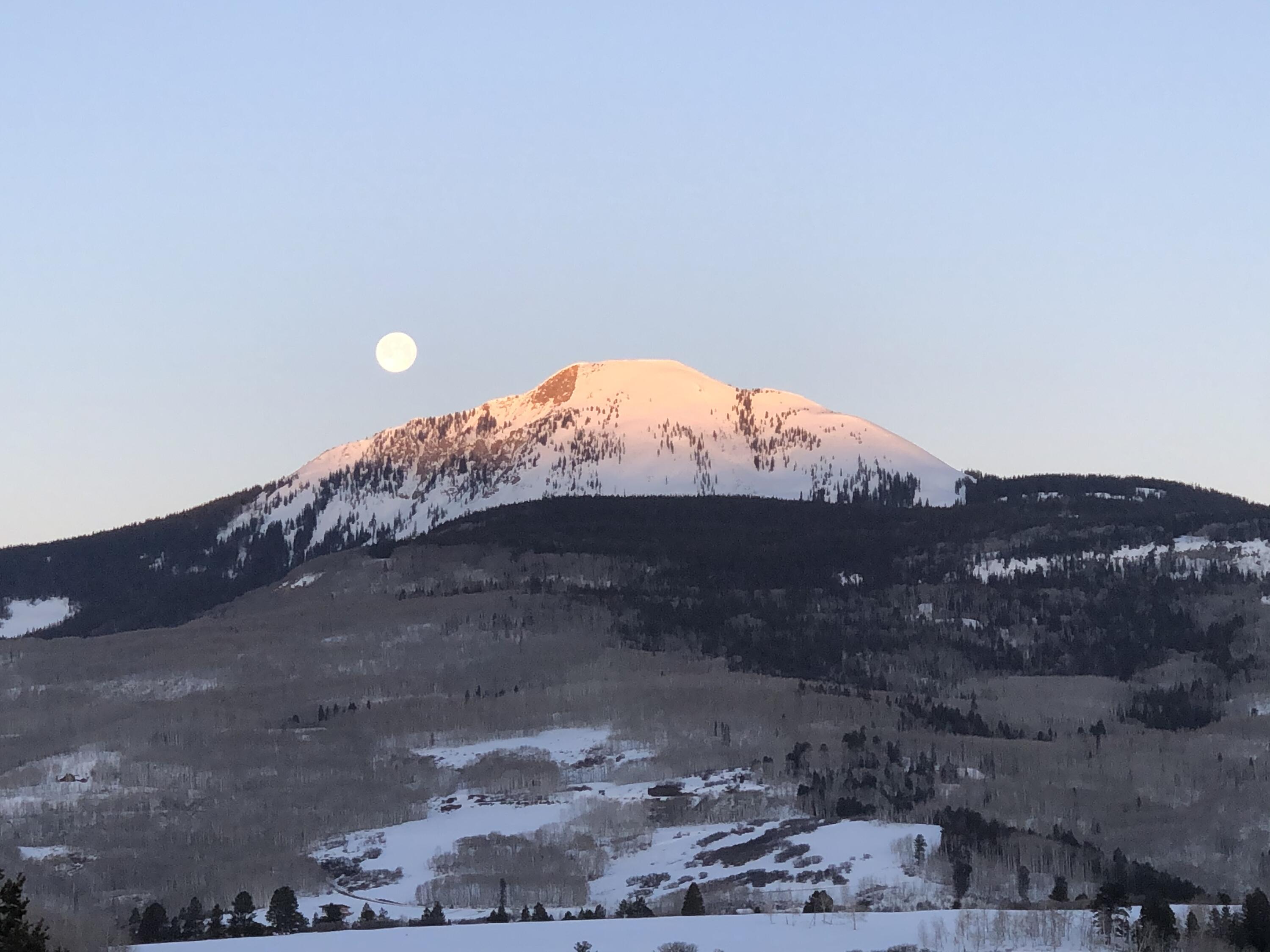 1925 East Anderson Road Placerville, CO 81430 - Photo 39 of 40 a view of a dry yard with a wooden fence
