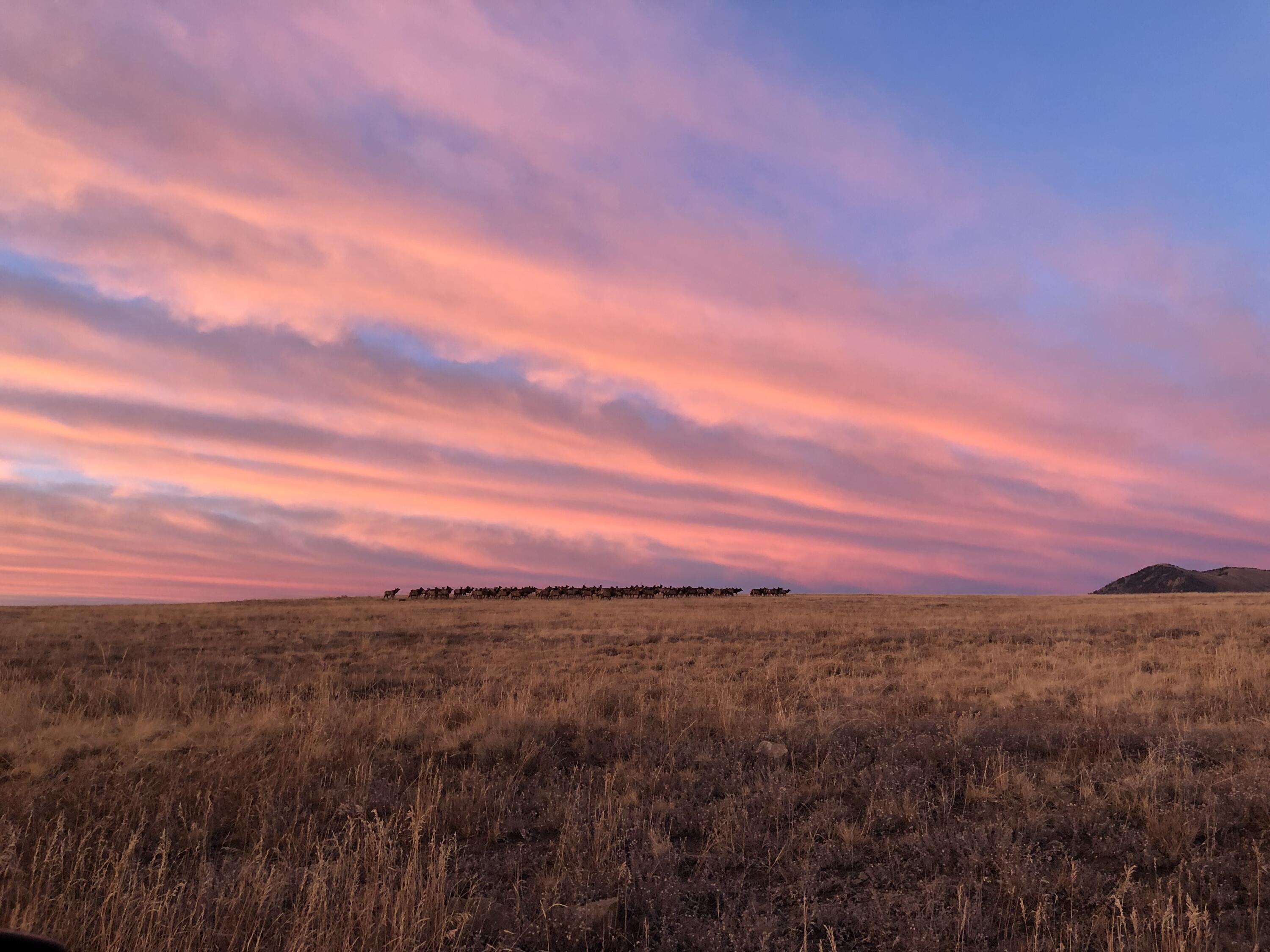 1925 East Anderson Road Placerville, CO 81430 - Photo 40 of 40 a view of a city and mountain