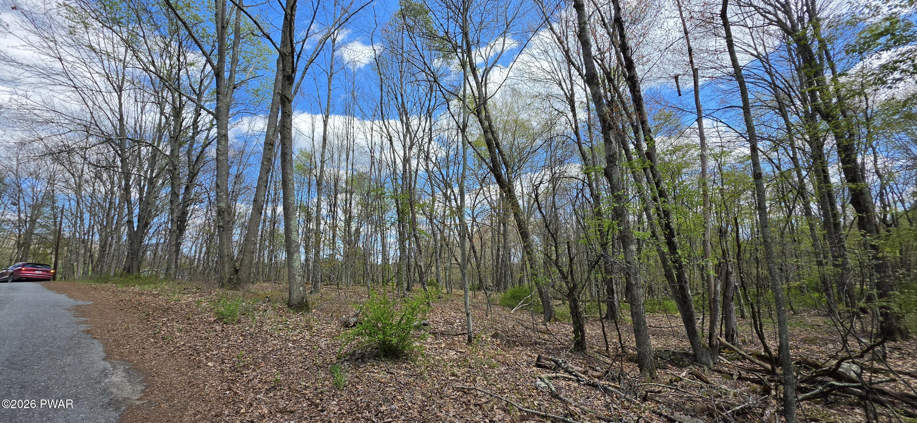 Lot 17.14 Skipperene Road Narrowsburg, NY 12764 - Photo 8 of 15
