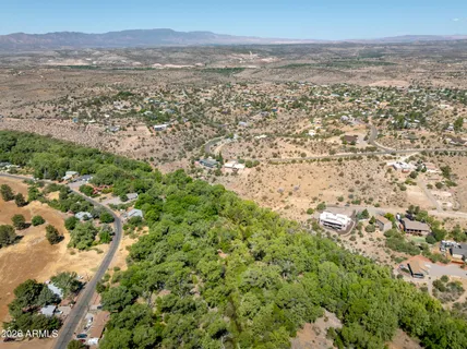 a view of a forest with trees in the background