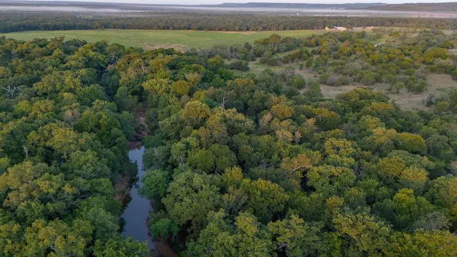 a view of a field with a lush green forest
