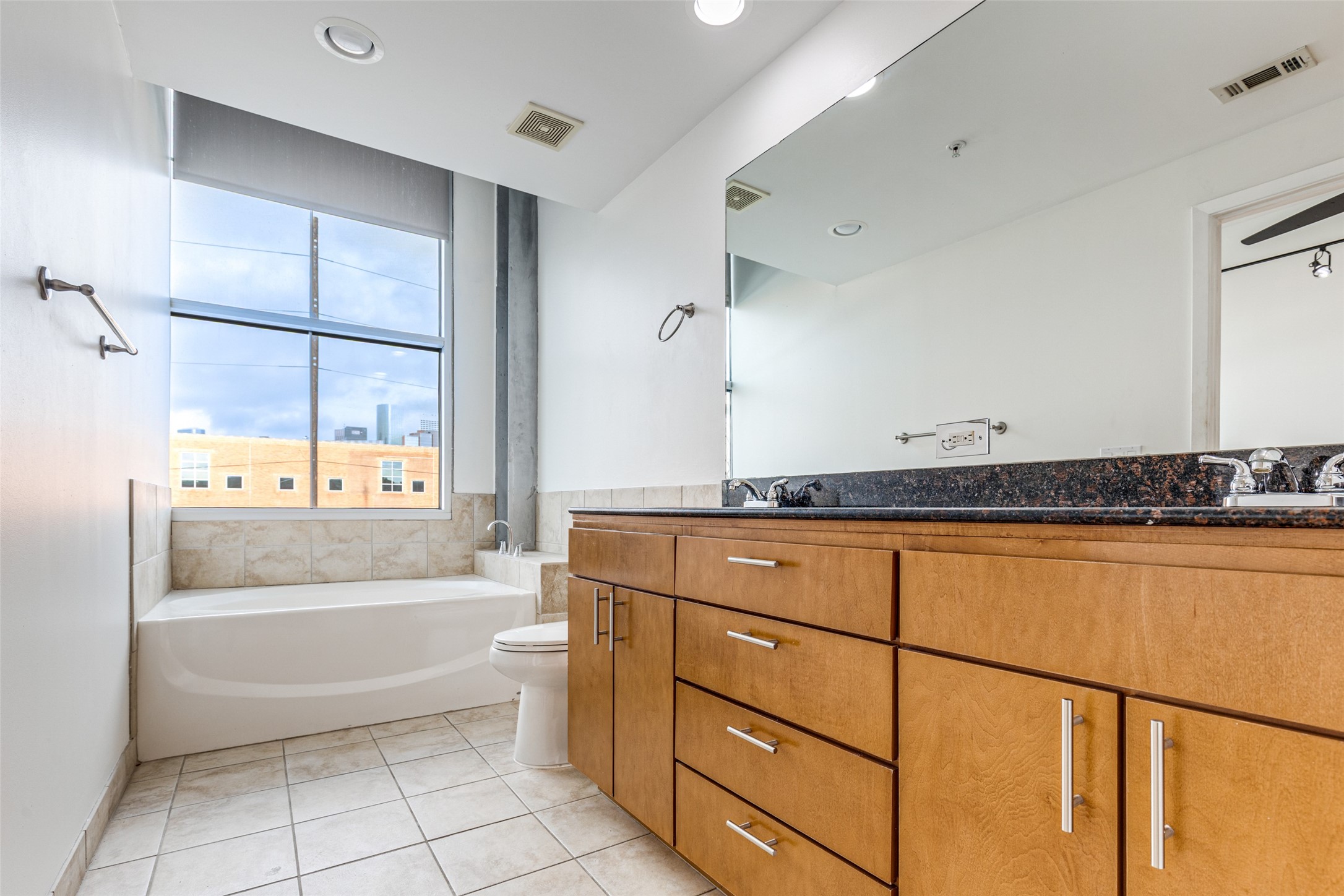 1312 Live Oak Street, Unit 223 Houston, TX 77003 - Photo 15 of 31 Primary bathroom with modern finishes and large window offering downtown city views.