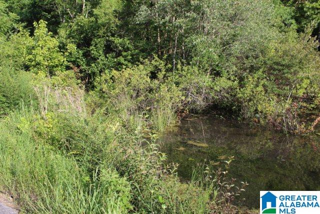 1 Benefield Gap Road Attalla, AL 35954 - Photo 48 of 50