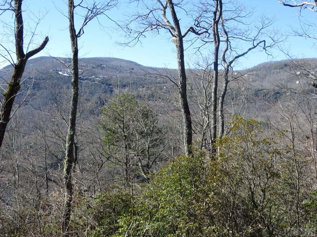 Lot 17 Panther Ridge Road Lake Toxaway, NC 28747 - Photo 16 of 38 Gallery Image 16