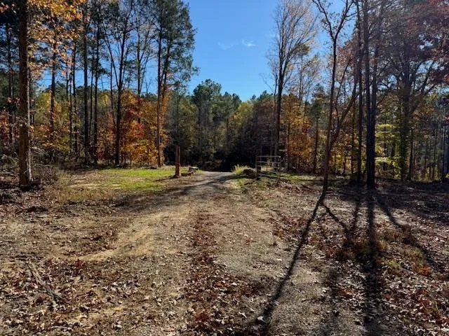 a backyard of a house with trees
