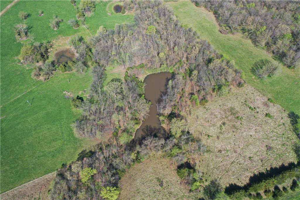 County Road Huntsville, MO 65259 - Photo 6 of 10
