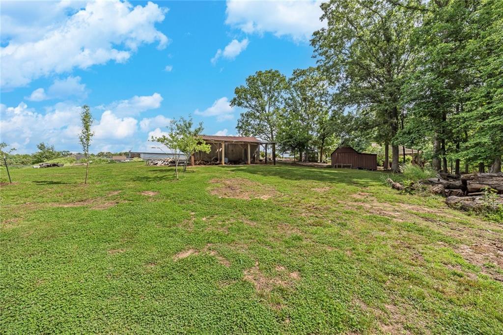 399 Smith Road Ball Ground, GA 30107 - Photo 56 of 63 a view of a big yard with a house