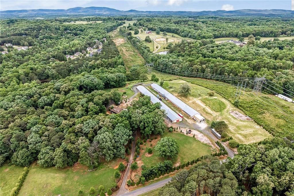 399 Smith Road Ball Ground, GA 30107 - Photo 62 of 63 a view of a yard with a lake view