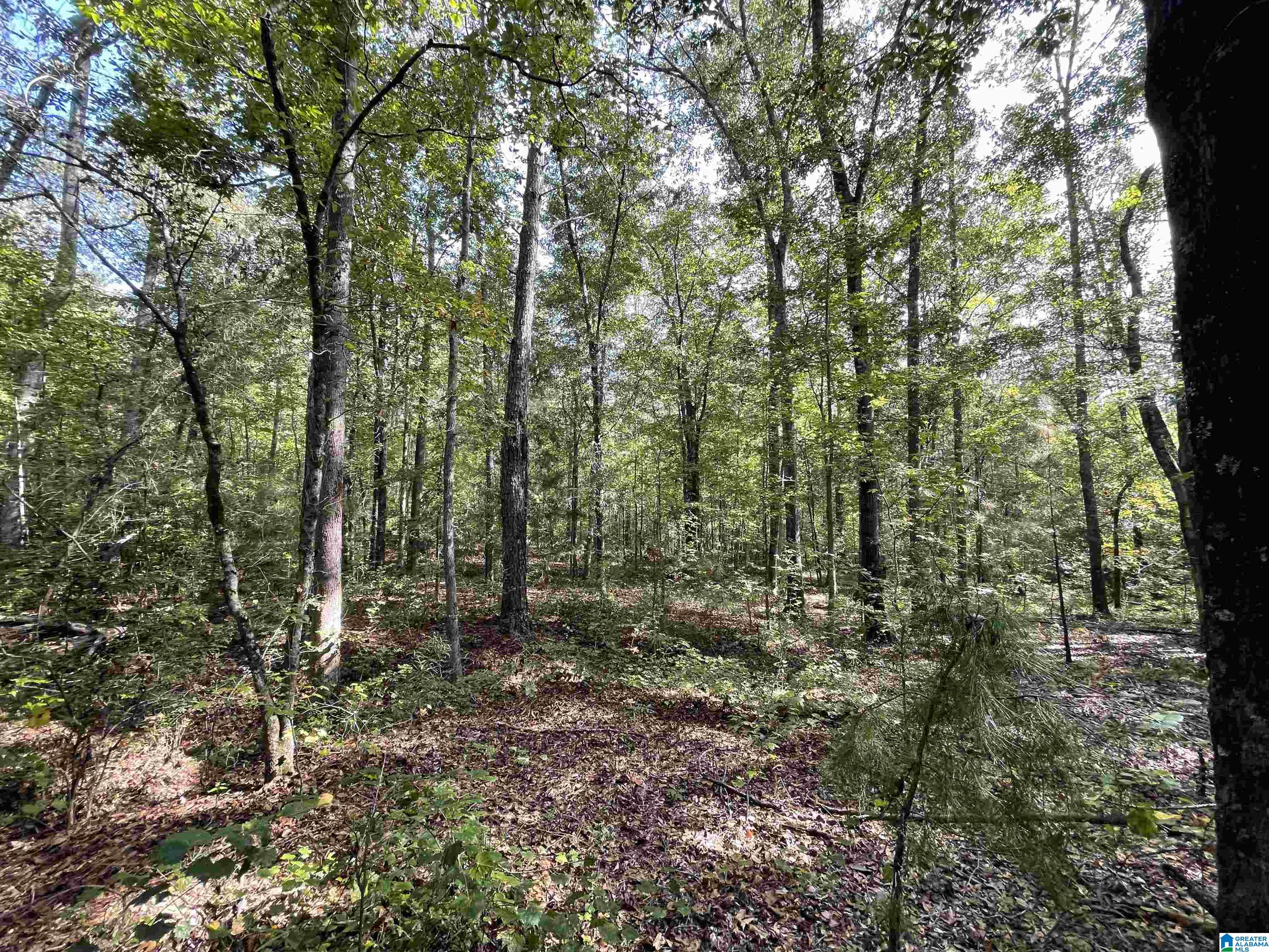 880 Bill Price Road, Unit 40 AC Daviston, AL 36256 - Photo 5 of 7
