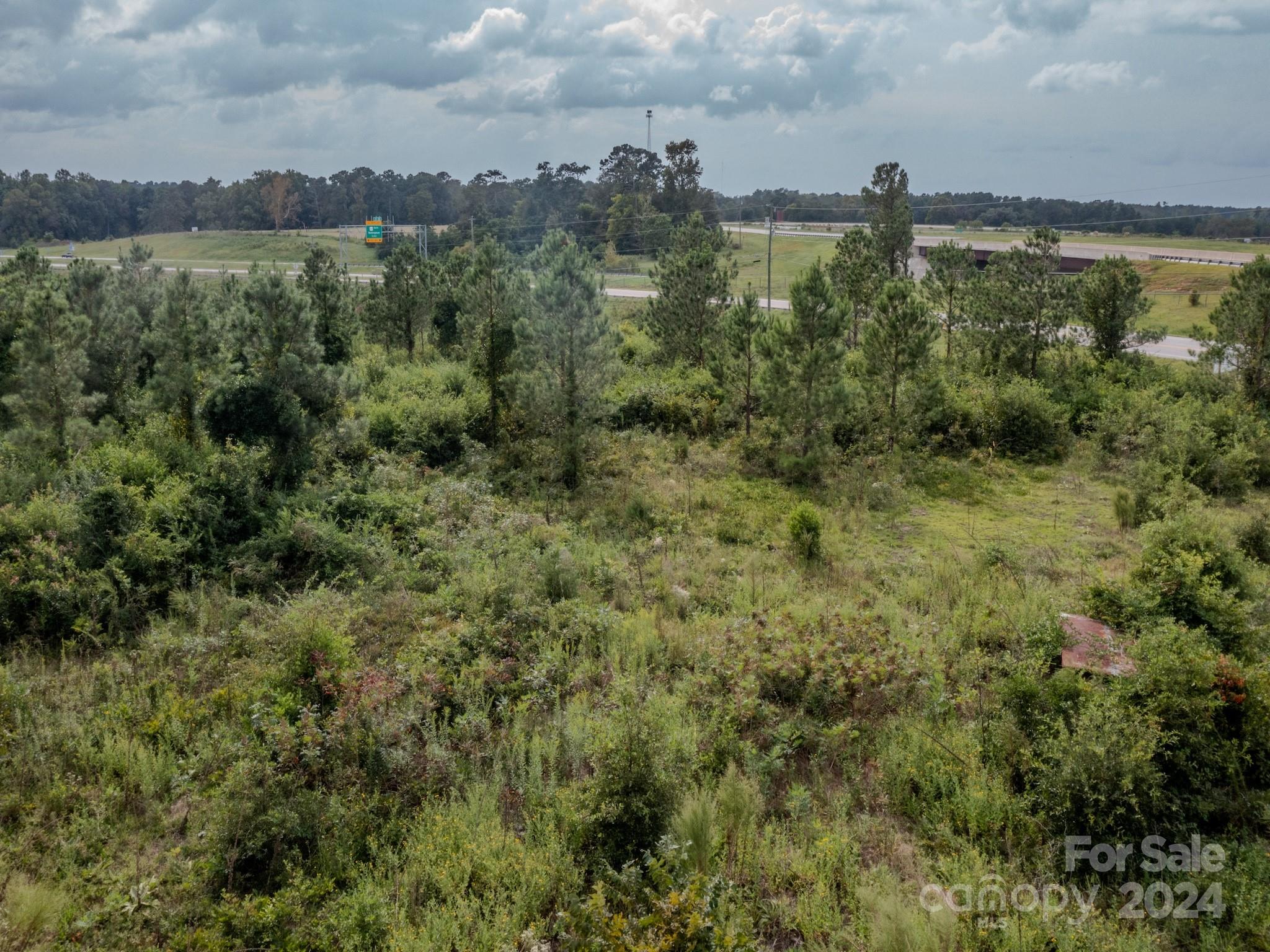 110 Haywood Cemetery Road Rockingham, NC 28379 - Photo 12 of 29