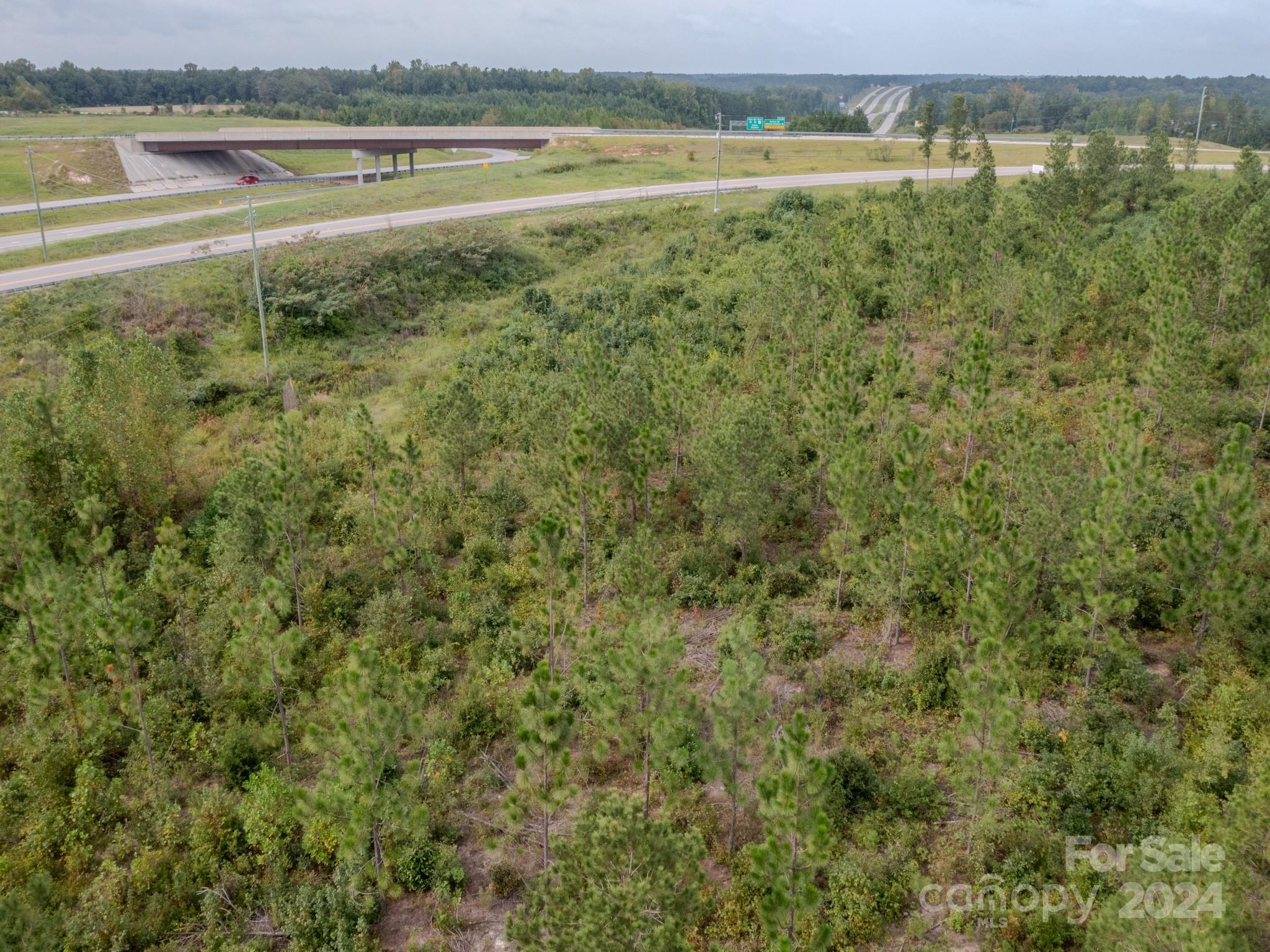 110 Haywood Cemetery Road Rockingham, NC 28379 - Photo 15 of 29