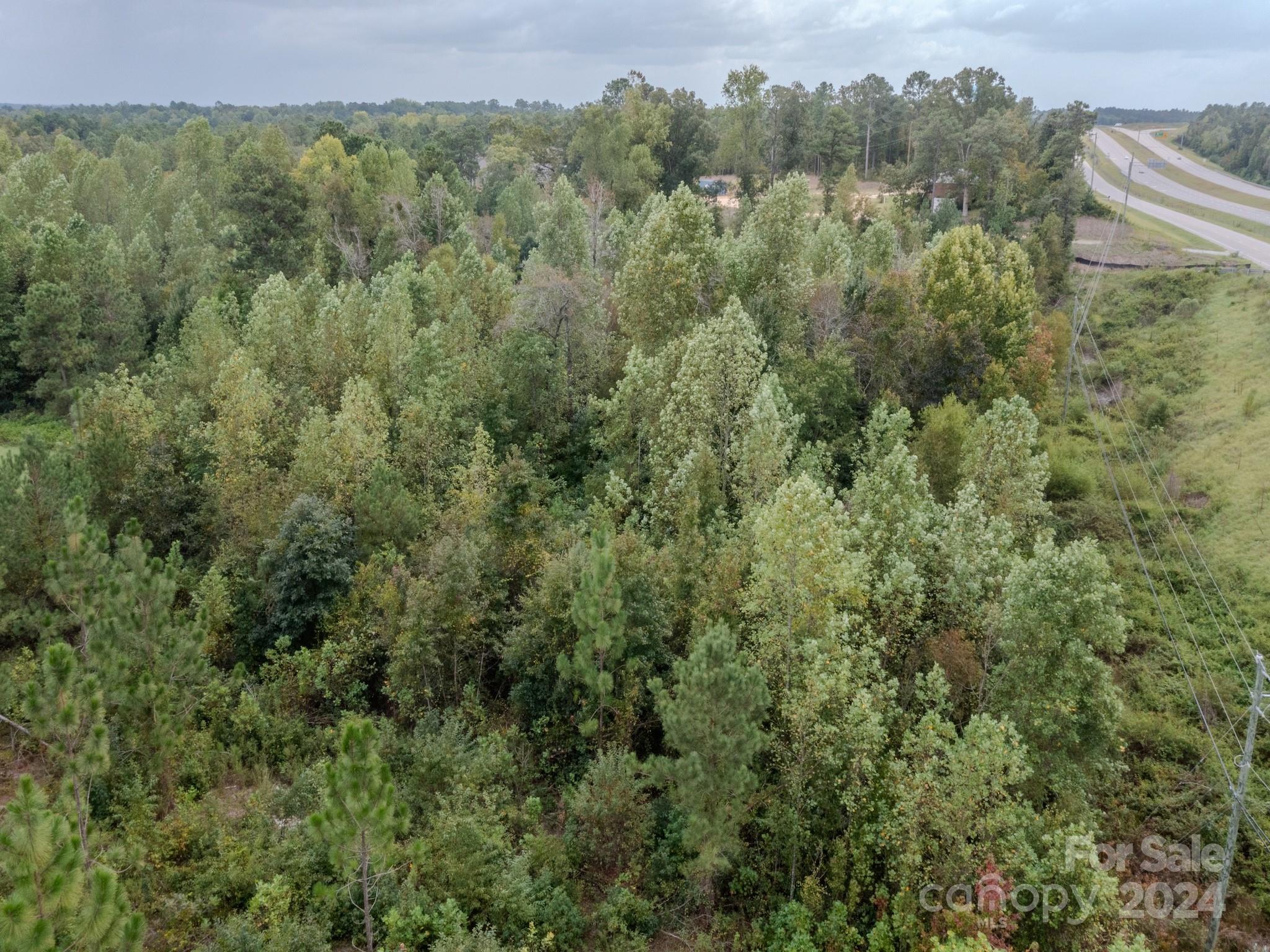 110 Haywood Cemetery Road Rockingham, NC 28379 - Photo 16 of 29