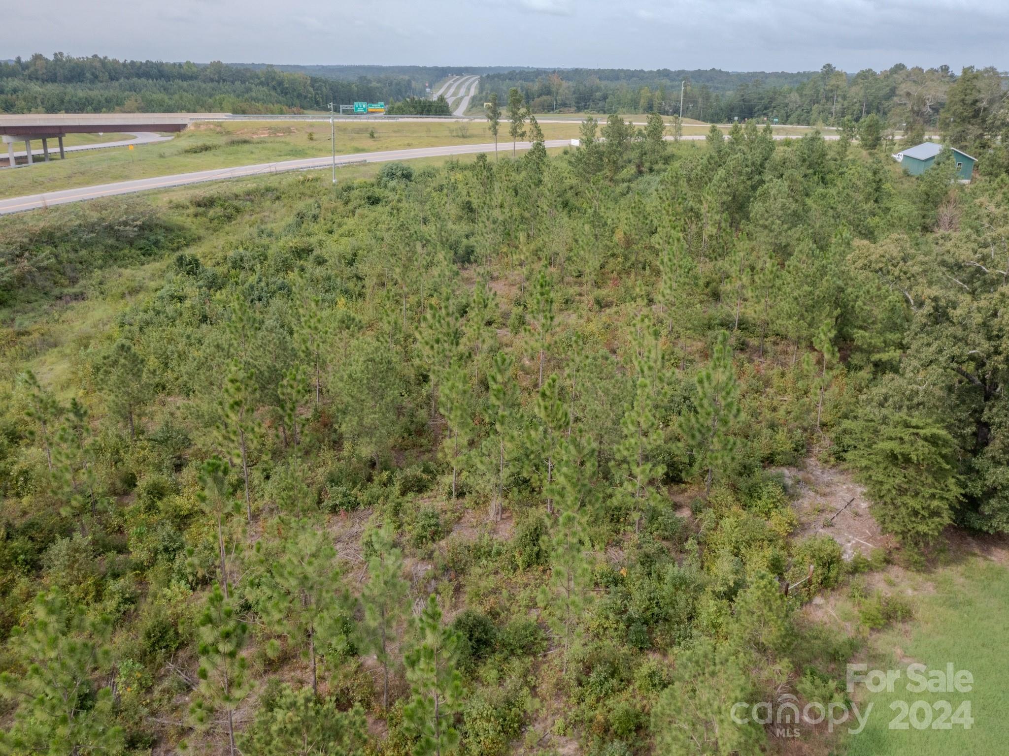 110 Haywood Cemetery Road Rockingham, NC 28379 - Photo 17 of 29
