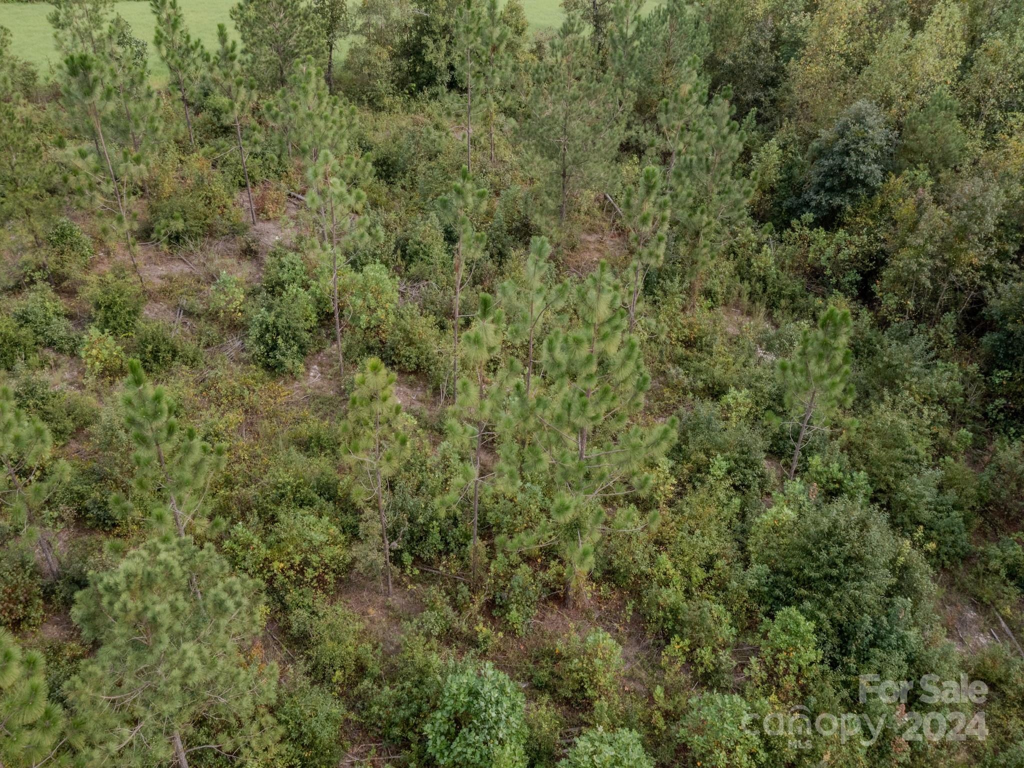 110 Haywood Cemetery Road Rockingham, NC 28379 - Photo 18 of 29