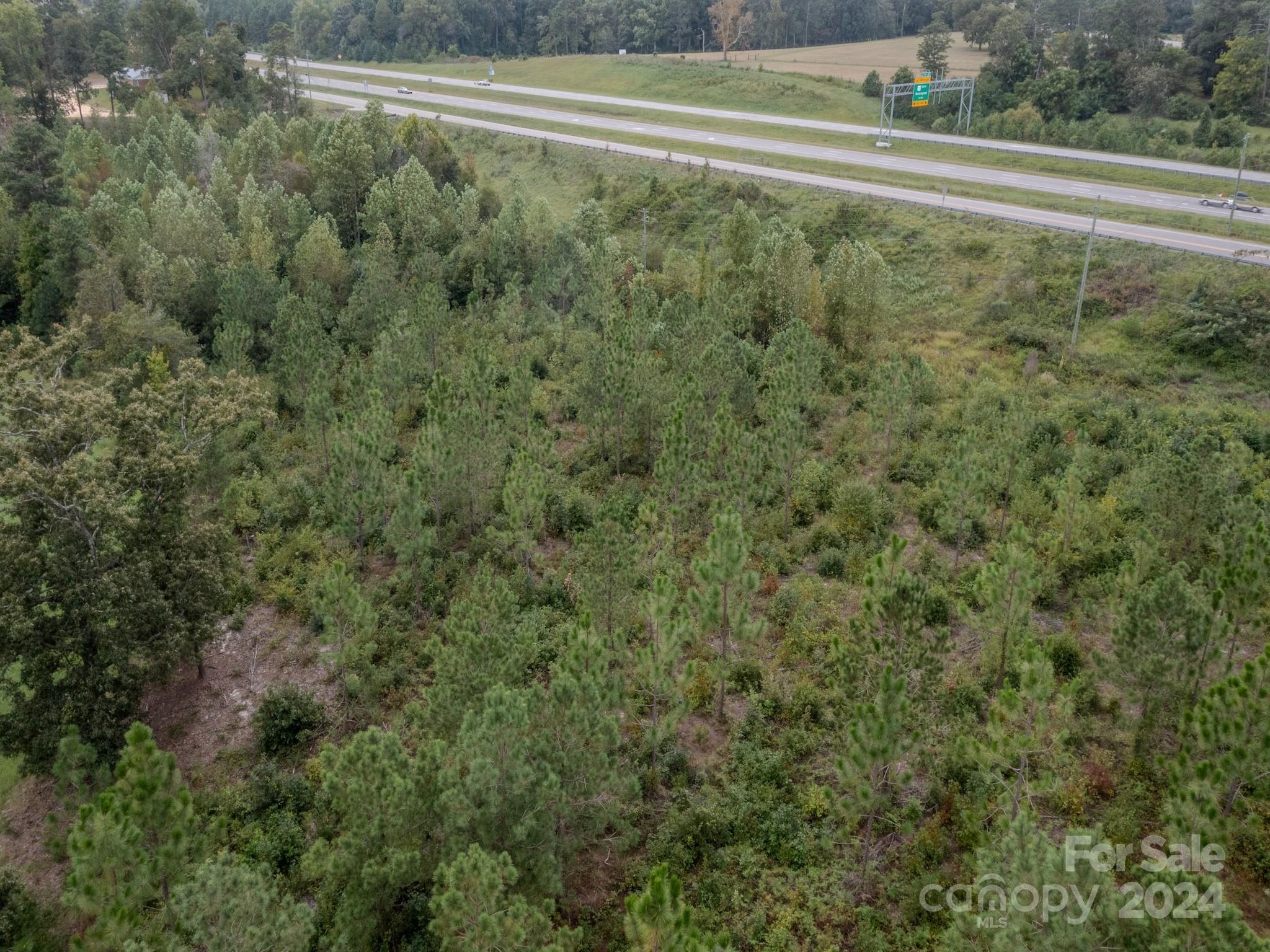 110 Haywood Cemetery Road Rockingham, NC 28379 - Photo 19 of 29
