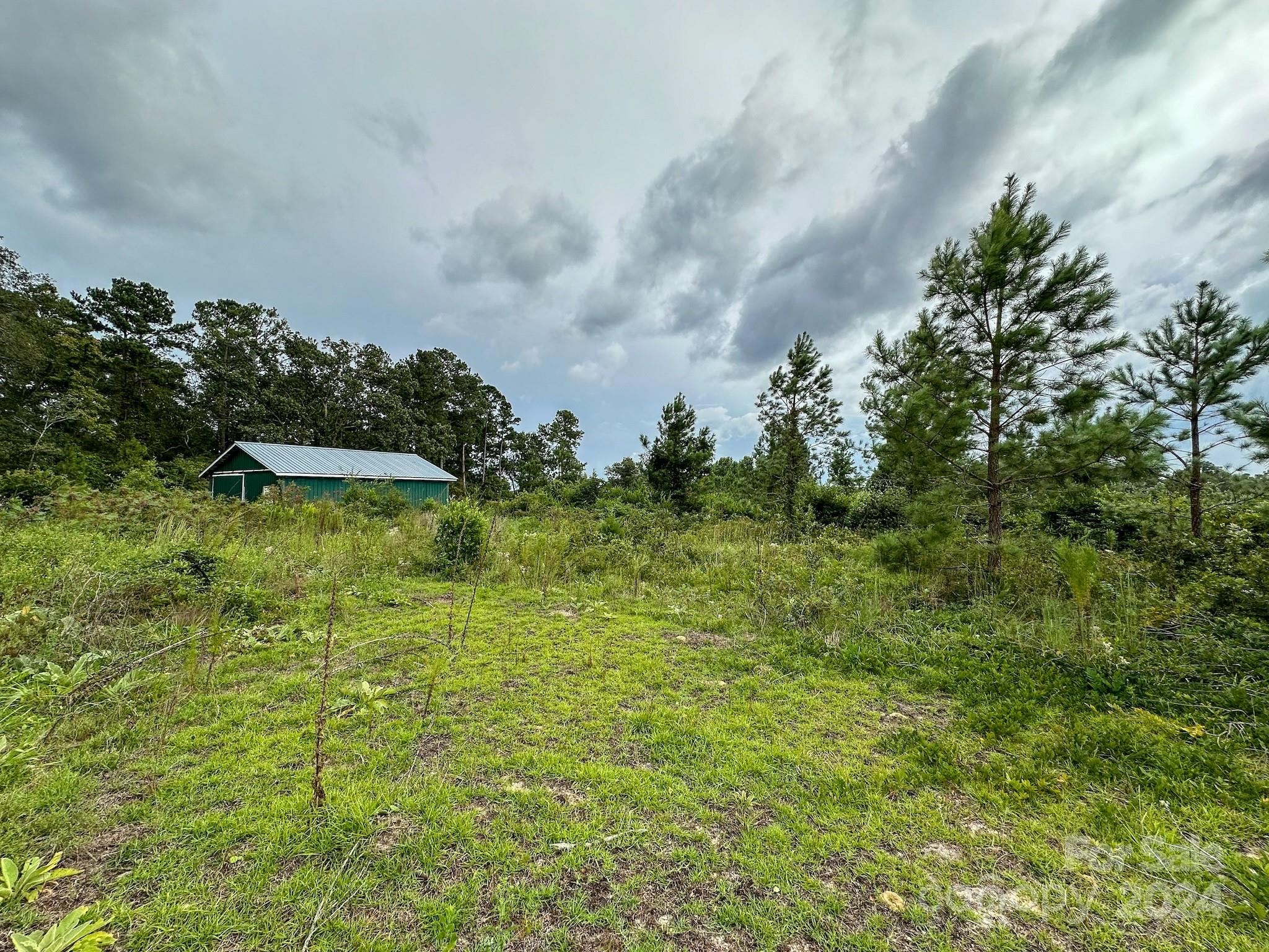 110 Haywood Cemetery Road Rockingham, NC 28379 - Photo 23 of 29