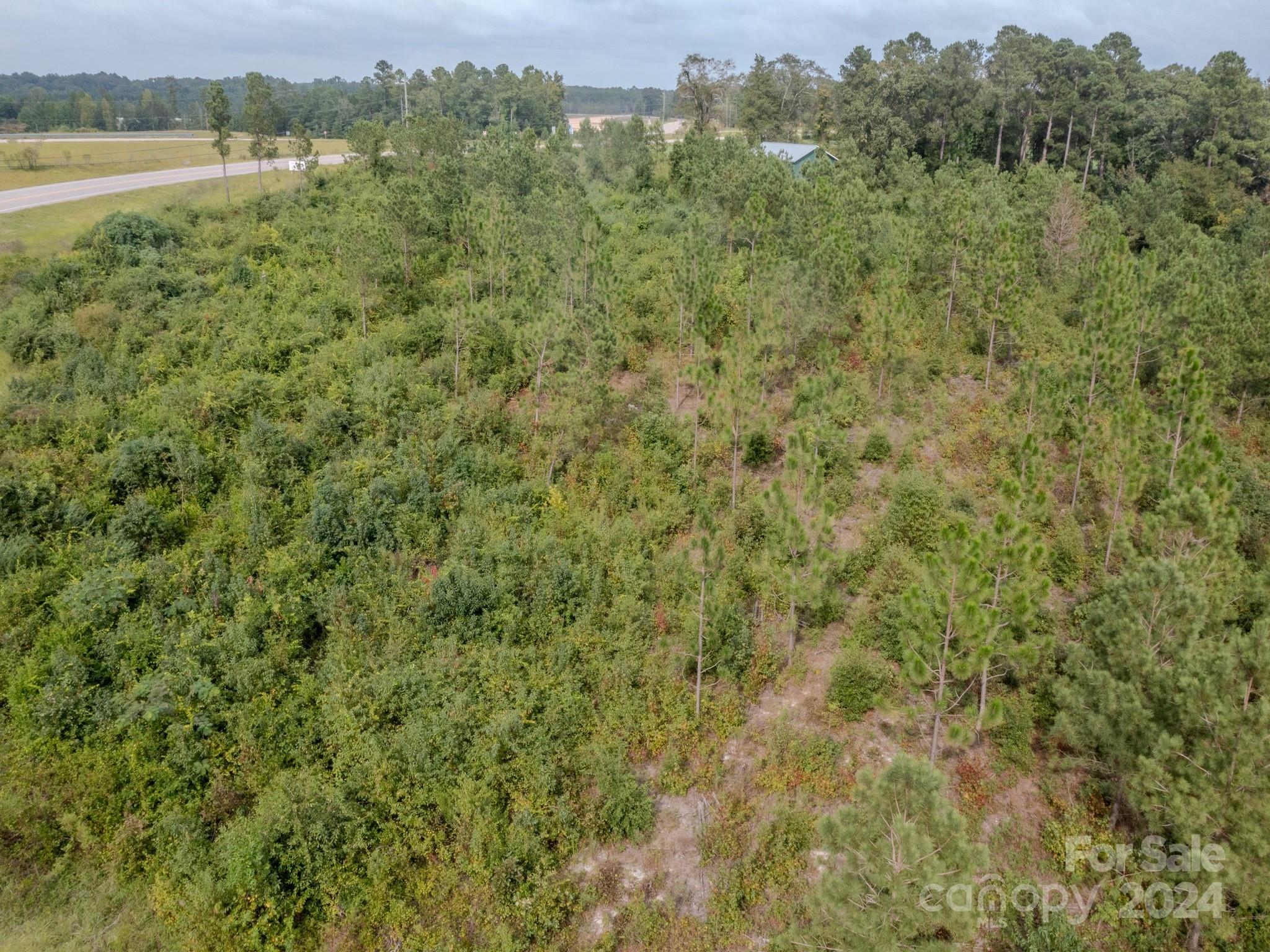 110 Haywood Cemetery Road Rockingham, NC 28379 - Photo 4 of 29