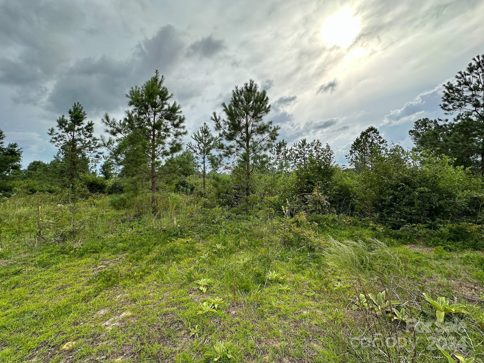 110 Haywood Cemetery Road Rockingham, NC 28379 - Photo 8 of 29