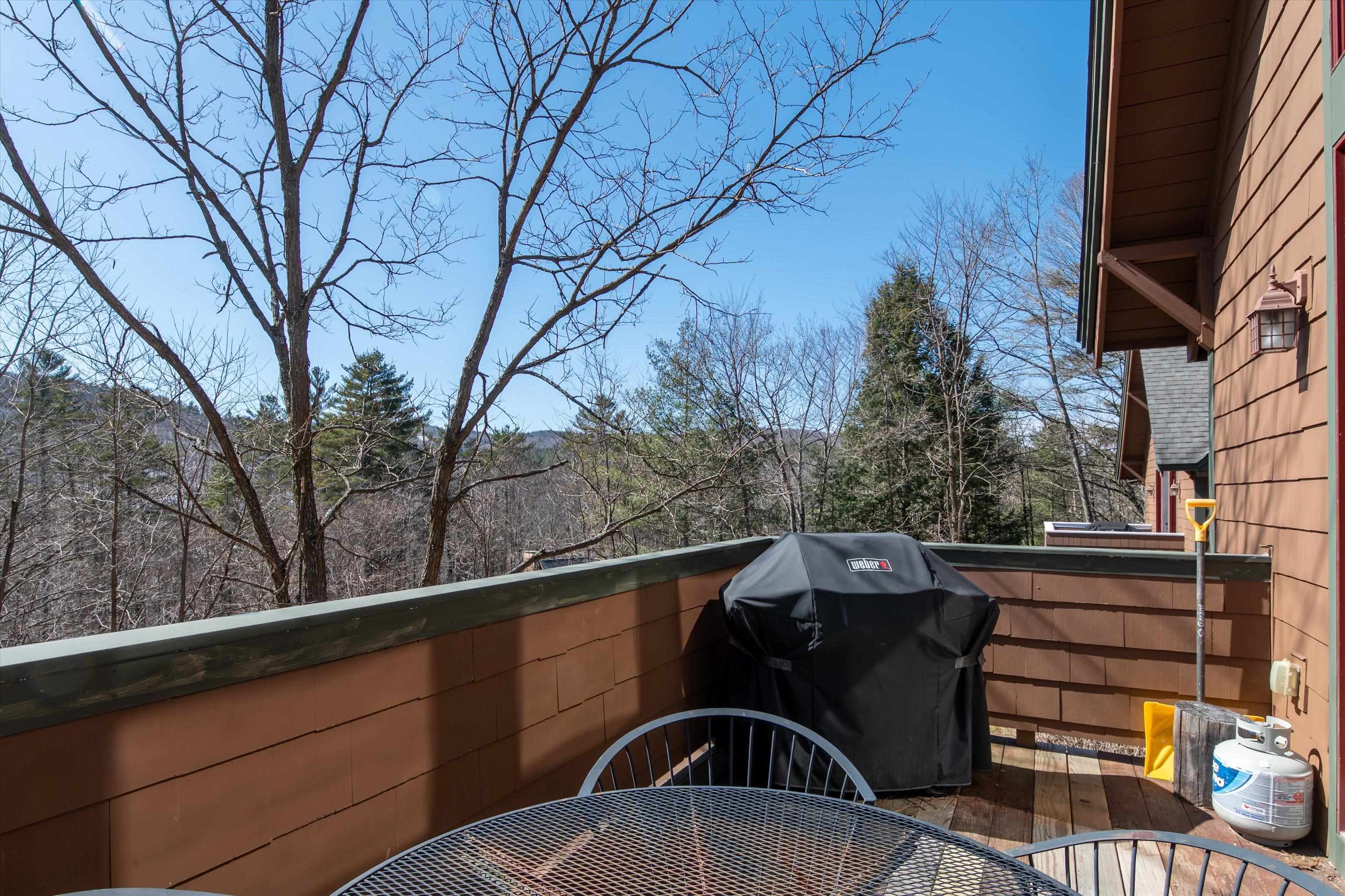 74 Spaulding Road, Unit I4 Cavendish, VT 05153 - Photo 30 of 60