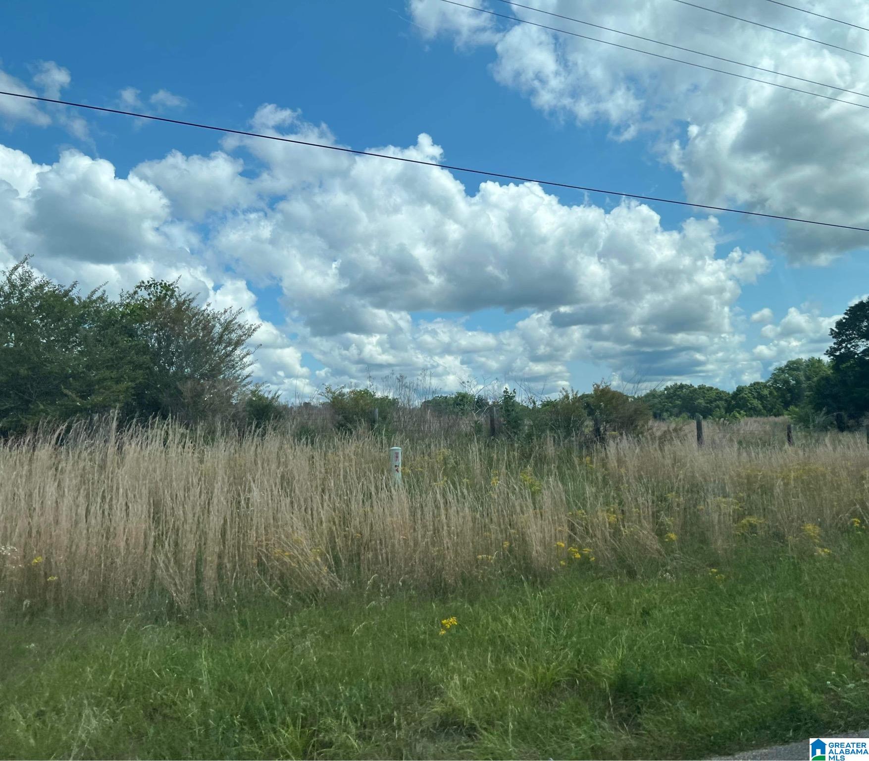 0 County Road 50 Jemison, AL 35085 - Photo 2 of 4