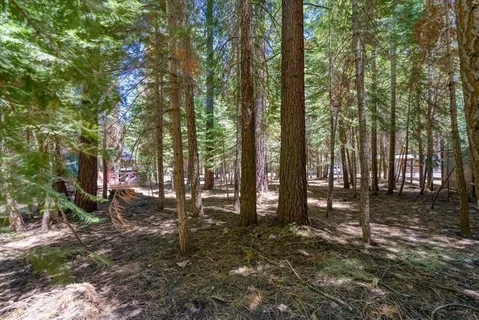 $275,000 | 7234 3rd Avenue, Tahoma, CA 96142