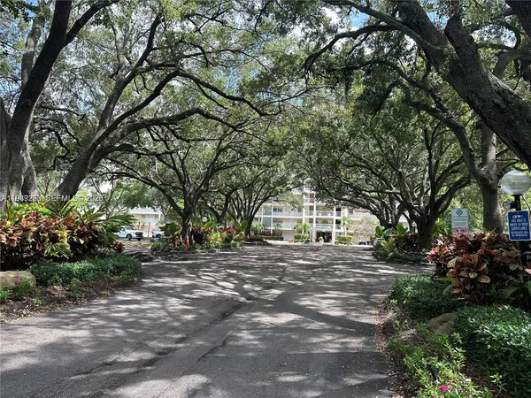 a view of a yard with plants and trees