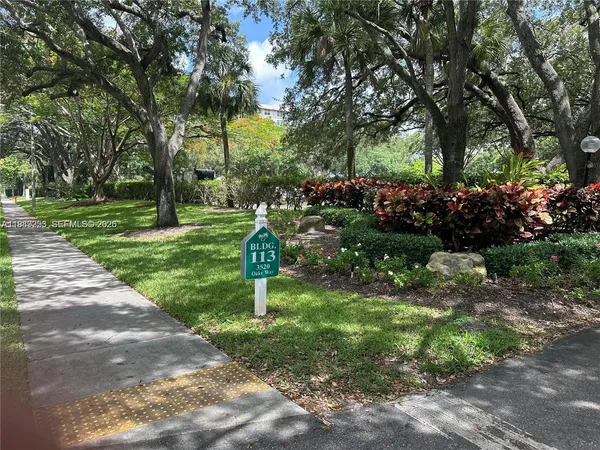 a view of a park with large trees