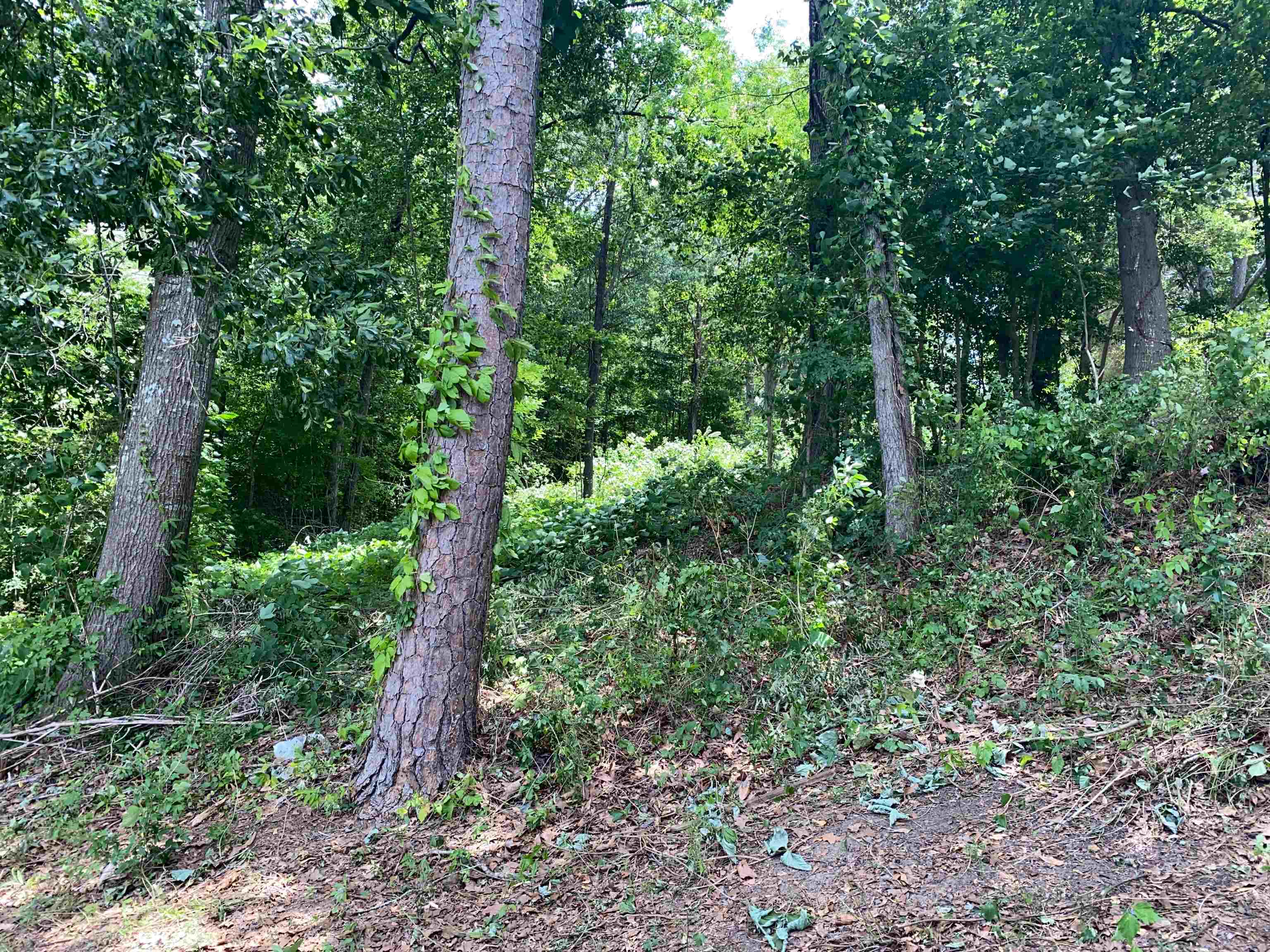 59 Simpson Circle Waterloo, SC 29384 - Photo 10 of 13