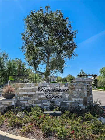 a view of a garden with a tree